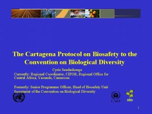 The Cartagena Protocol on Biosafety to the Convention