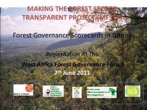 MAKING THE FOREST SECTOR TRANSPARENT PROJECT MFSTP Forest