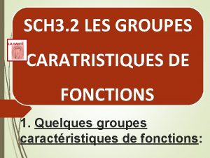 SCH 3 2 LES GROUPES LA SANT CARATRISTIQUES