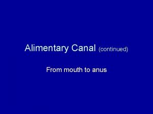 Alimentary Canal continued From mouth to anus Stomach