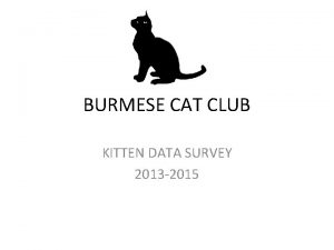 BURMESE CAT CLUB KITTEN DATA SURVEY 2013 2015