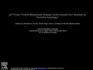 p 27 Protein Protects Metabolically Stressed Cardiomyocytes from