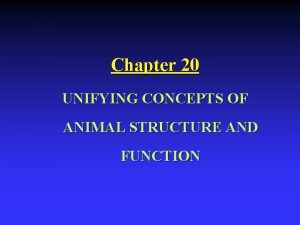 Chapter 20 UNIFYING CONCEPTS OF ANIMAL STRUCTURE AND