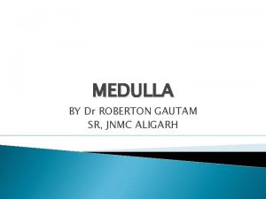 MEDULLA BY Dr ROBERTON GAUTAM SR JNMC ALIGARH