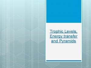 Trophic Levels Energy transfer and Pyramids Trophic Levels