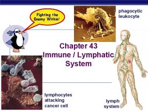 phagocytic leukocyte Fighting the Enemy Within Chapter 43