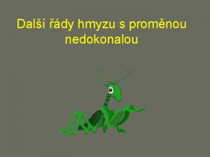 Dal dy hmyzu s promnou nedokonalou d Strailky