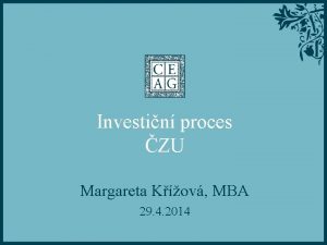 Investin proces ZU Margareta Kov MBA 29 4