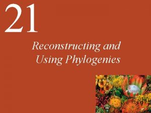 21 Reconstructing and Using Phylogenies Chapter 21 Key