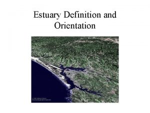 Estuary Definition and Orientation What is an estuary