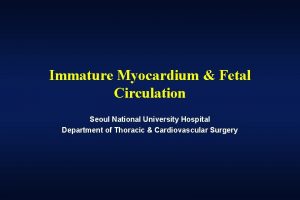 Immature Myocardium Fetal Circulation Seoul National University Hospital