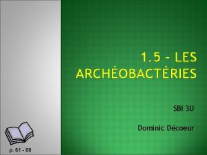 1 5 LES ARCHOBACTRIES SBI 3 U Dominic