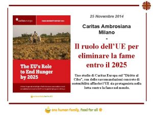 25 Novembre 2014 Caritas Ambrosiana Milano Il ruolo