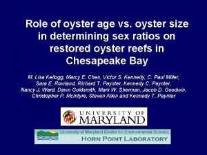 Role of oyster age vs oyster size in