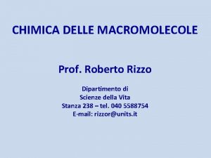 CHIMICA DELLE MACROMOLECOLE Prof Roberto Rizzo Dipartimento di