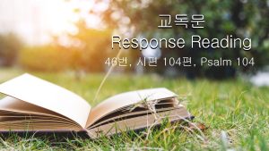 Response Reading 46 104 Psalm 104 Praise the