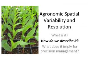 Agronomic Spatial Variability and Resolution What is it