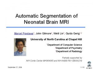 Automatic Segmentation of Neonatal Brain MRI Marcel Prastawa