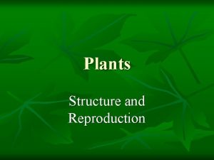 Plants Structure and Reproduction Characteristics of Plants Autotrophic