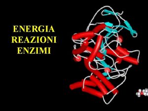 ENERGIA REAZIONI ENZIMI Dal punto di vista fisico