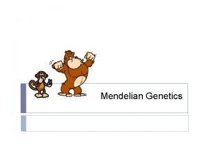 Mendelian Genetics Genetics Genetics is the study of