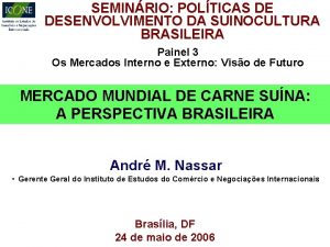 SEMINRIO POLTICAS DE DESENVOLVIMENTO DA SUINOCULTURA BRASILEIRA Painel