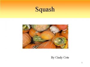 Squash By Cindy Cote 1 What is squash