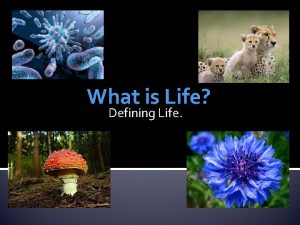 What is Life Defining Life Defining Life How