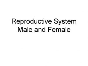 Reproductive System Male and Female Background information Gonads
