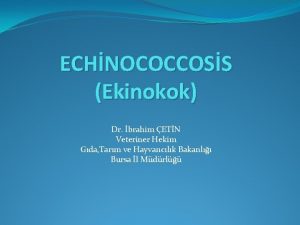 ECHNOCOCCOSS Ekinokok Dr brahim ETN Veteriner Hekim Gda