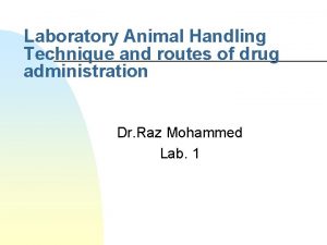 Laboratory Animal Handling Technique and routes of drug