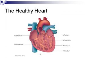 The Healthy Heart Chambers of the Heart Left