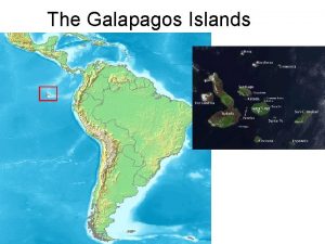 The Galapagos Islands Galapagos Tortoise Why are the