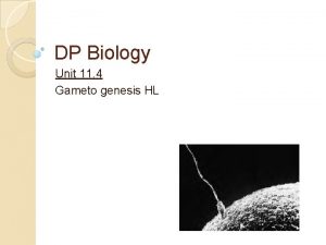 DP Biology Unit 11 4 Gameto genesis HL