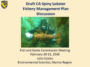 Draft CA Spiny Lobster Fishery Management Plan Discussion