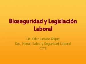 Bioseguridad y Legislacin Laboral Lic Pilar Limaco ique