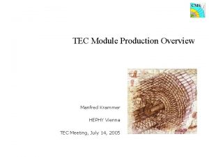 TEC Module Production Overview Manfred Krammer HEPHY Vienna