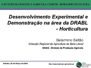 O FUTURO DA POLTICA AGRCOLA COMUM HORTOFRUTICULTURA Desenvolvimento