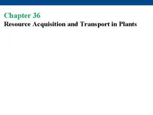 Chapter 36 Resource Acquisition and Transport in Plants