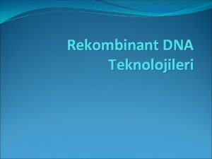 Rekombinant DNA Teknolojileri Rekombinant DNA Gen Mhendislii tekniklerinin