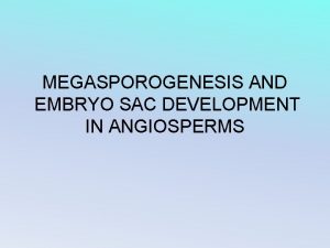 MEGASPOROGENESIS AND EMBRYO SAC DEVELOPMENT IN ANGIOSPERMS ANGIOSPERMS