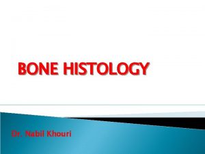 BONE HISTOLOGY Dr Nabil Khouri Review Hyaline Cartilage