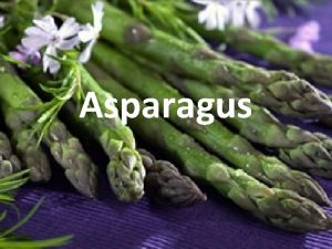 Asparagus Classification Kingdom Plantae Plants Subkingdom Tracheobionta Vascular