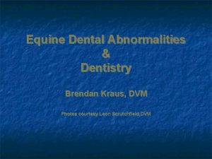 Equine Dental Abnormalities Dentistry Brendan Kraus DVM Photos