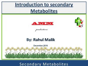 Introduction to secondary Metabolites By Rahul Malik December