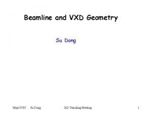 Beamline and VXD Geometry Su Dong May2705 Su