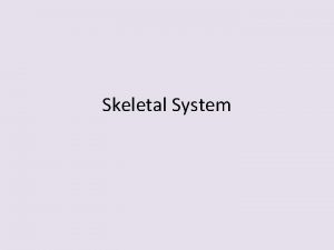 Skeletal System 25 Skeletal system internal framework of