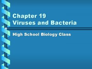 Chapter 19 Viruses and Bacteria High School Biology