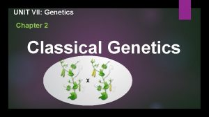 UNIT VII Genetics Chapter 2 Classical Genetics Learning