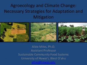 Agroecology and Climate Change Necessary Strategies for Adaptation